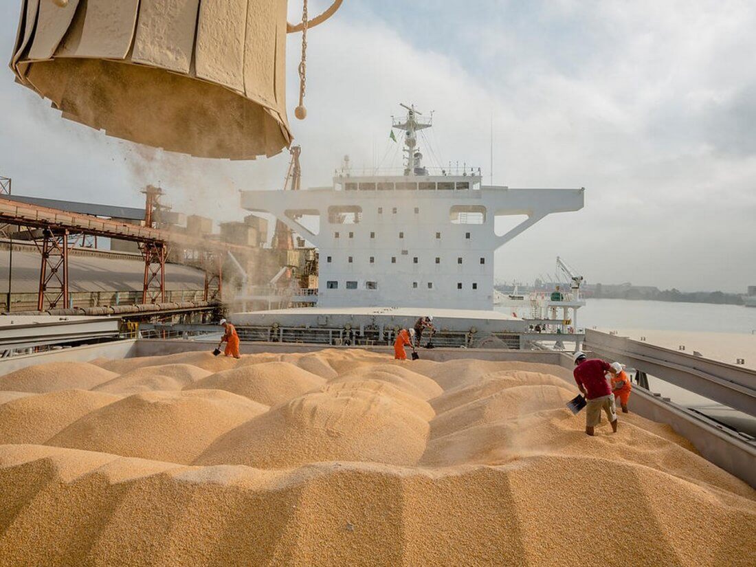Після атаки РФ на порти Одеси та Рені зросли світові ціни на пшеницю